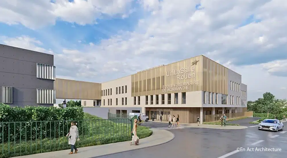 chantier ecole veterinaire normandie mont saint aignan 76